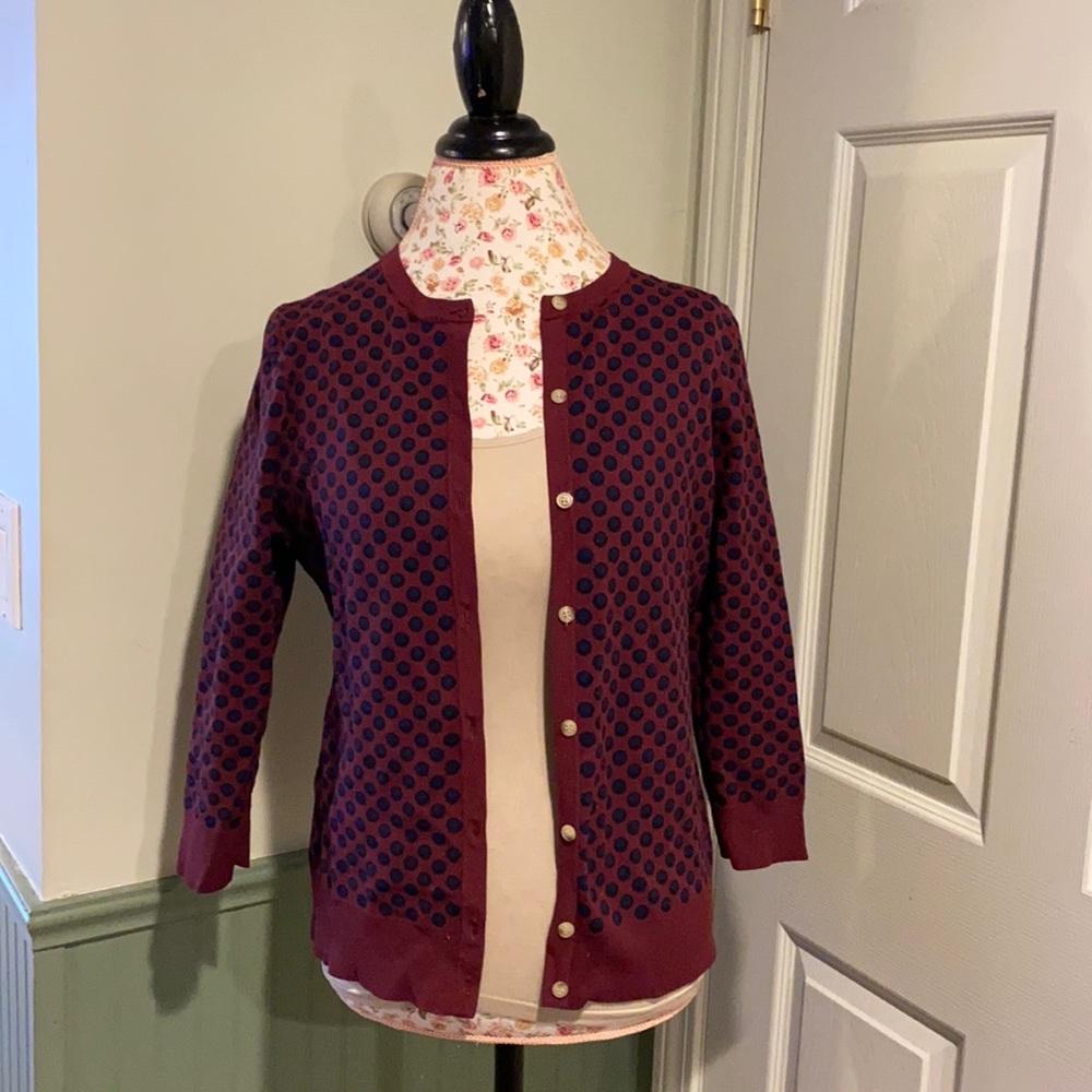 Eggplant and navy polkadot cardigan sweater